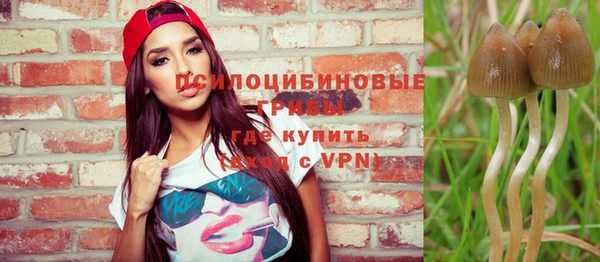 apvp Зерноград