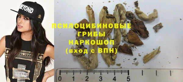 apvp Зерноград