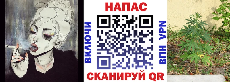 Бошки марихуана индика  Купить закладки  Кызыл 